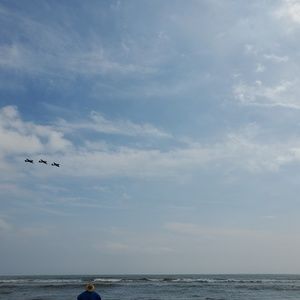 Meet your Posher, Alison